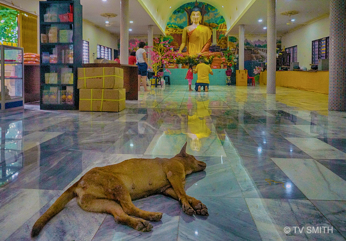 Wesak: Finding Warmth On A Cold Floor